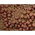 SuperFeed Micro Pellet 2 mm/1 kg mlečna murva