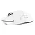 Logitech G Pro X Superlight 2c Compact Lightspeed Gaming Mouse