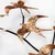 Wallity Zidna dekoracija Flying Birds 3, 69x41x7 cm, 1.5 mm, Šarena