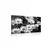 Slika marjetice na vrtu v črnobeli izvedbi - 40x30