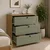 Hanah Home komoda Lucas 1600-238, 80 cm, orah / zelena