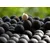 Euro Boilies 16mm/10kg Halibut boili