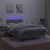 vidaXL Box spring postelja z vzmetnico LED sv. siva 120x190 cm žamet
