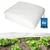 shumee Agrotekstil Spring Frost, bel, 17 g/m2, 1,6 x 5 m