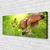 tulup.si Slika na platnu Gobe sadje jagode 120x60 cm