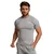 GymBeam Muška majica Fitted TRN Grey