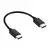 Winner Group - USB kabl USB-C / USB-C 60 W, 20 cm, crne boje