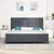 vidaXL vidaXL Postelja Temno Siva 200x200 cm Velvet, (22049389)