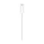 APPLE MagSafe punjač za iPhone - MHXH3ZM/A
