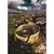 Ravensburger puzzle Koloseum u Rimu RA12000573