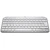 Logitech MX Keys Mini za Mac Pale Grey (920-010526)