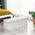 Songmics Tabure klop, 110x38x38 cm, bela, s shrambo