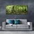 tulup.si Slika na platnu Narava jungle forest trees 125x50 cm