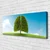 tulup.si Slika na platnu Grass nature tree pljuča 120x60 cm