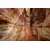 Slika steza v Grand Canyonu - 60x40