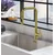 Alveus Slavina Bloom PS