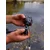 Black Label QR Buzzer Bar 2 rod (CBB023)