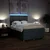 Vidaxl Box spring postelja z vzmetnico temno siva 160x200 cm blago