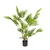 MID.YOU Umetna Rastlina Areca I