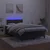 Vidaxl Box spring postelja z vzmetnico LED črna 120x200 cm žamet