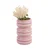 Dekorativna vaza Present Time Macaron