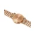 Mondaine A660.30314.16SBR Classic