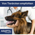 Adaptil Transport Spray, 20ml