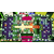 Switch Super Bomberman R 2