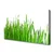 tulup.si Slika na platnu Grass nature rastlin 125x50 cm