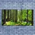 tulup.si Slika na platnu Narava rastlin forest trees 140x70 cm