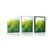Plakat stebla trave - 40x60 no frame