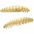 Larva 3,5 cm sirna vaba 005 Sirni kozarec z 12 kosi