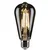Rabalux 79222 - LED sijalica FILAMENT ST64 E27/6W/230V 3000K