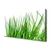 tulup.si Slika na platnu Grass on wall 100x50 cm