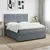 vidaXL Postelja boxspring z vzmetnico Temno siva 180 x 200 cm Žamet