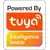 shumee Zunanja nadometna vtičnica RTX IP67 za vrt MERJENJE ENERGIJE TUYA WiFi