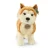 Plišasti pes Akita Inu 30 cm EKO-PRIJAZEN