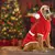 Paws & Whiskers Odelo za pse Christmassweat, Crveno