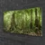 tulup.si Slika na steklu Narava jungle forest trees 120x60 cm 2 obešalnika