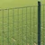 Vidaxl Evropska ograja Zelena 1,6 x 10 m PVC prevlečen železo