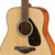 YAMAHA western kitara FG800NT