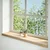 Prozorske klupice 2 kom 100x25x2 cm netretirane masivne hrast