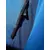 North Sails MOŠKA JAKNA RACE SOFT SHELL 27M035