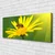 tulup.si Slika na platnu Bee flower narava 120x60 cm