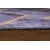 Conceptum Hypnose Tepih Funk -AL 58, 150x230 cm, Antracit-narandžasti