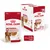 Royal Canin MEDIUM ADULT, vlažna hrana za pse 10x140g