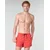 Quiksilver Kopalke/Kopalne hlače EVERYDAY VOLLEY Rdeča