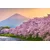 Slika japonski slap Fuji - 30x20