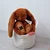 Plišasti zajček The Bunny Cappuccino Histoire d’ Ours rjav 32 cm od 0 mes
