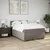 Vidaxl Box spring postelja z vzmetnico taupe 160x200 cm blago